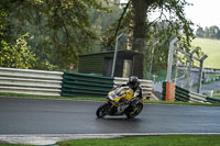 cadwell-no-limits-trackday;cadwell-park;cadwell-park-photographs;cadwell-trackday-photographs;enduro-digital-images;event-digital-images;eventdigitalimages;no-limits-trackdays;peter-wileman-photography;racing-digital-images;snetterton;snetterton-no-limits-trackday;snetterton-photographs;snetterton-trackday-photographs;trackday-digital-images;trackday-photos